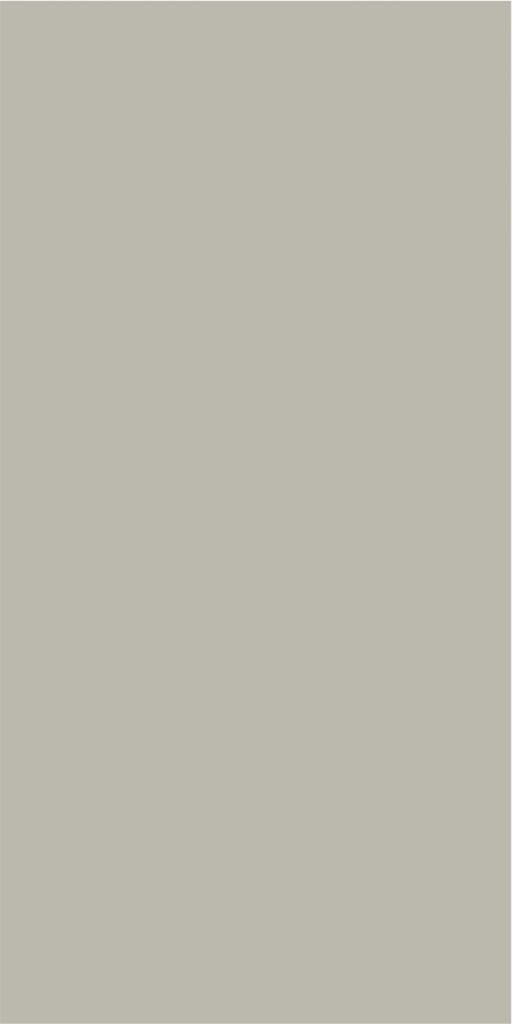 105 - MYSORE IVORY