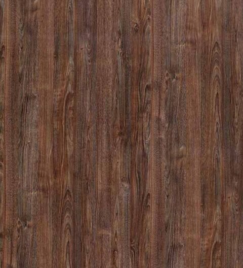 456 - DERBY CHESTNUT