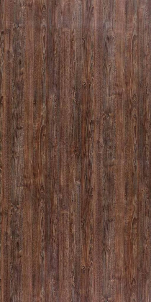 456 - DERBY CHESTNUT