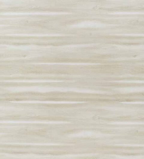 609 - WHITE SAP HORIZONTAL